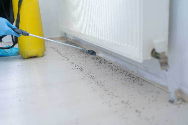 Best Pest Prevention Services  in Albany, MN